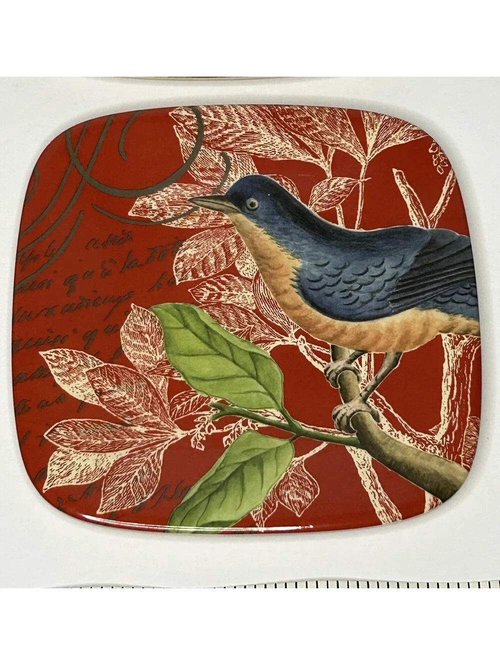 Plates Dessert Melamine Robin on Branch HOME brand Set of 4 5.5